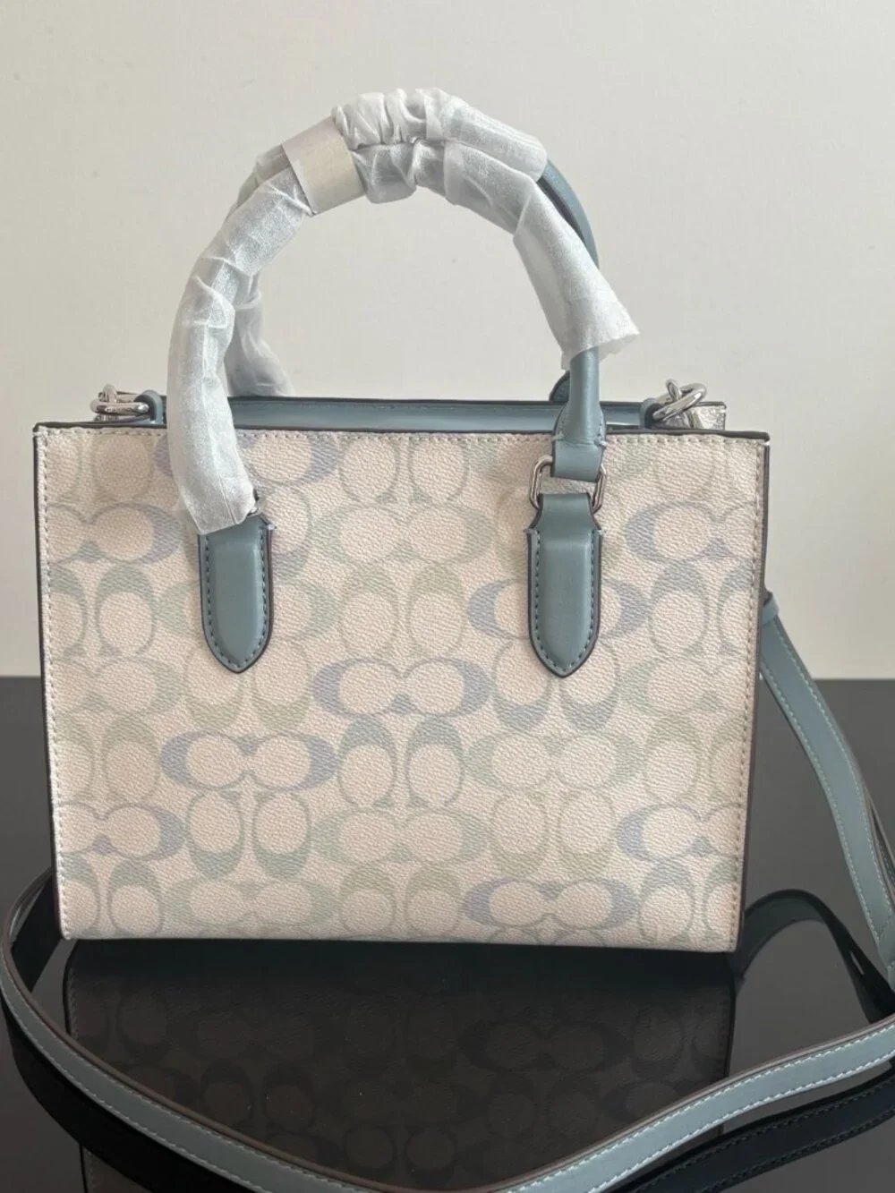 ✨Coach Signature Blue Green Canvas Satchel Handbag